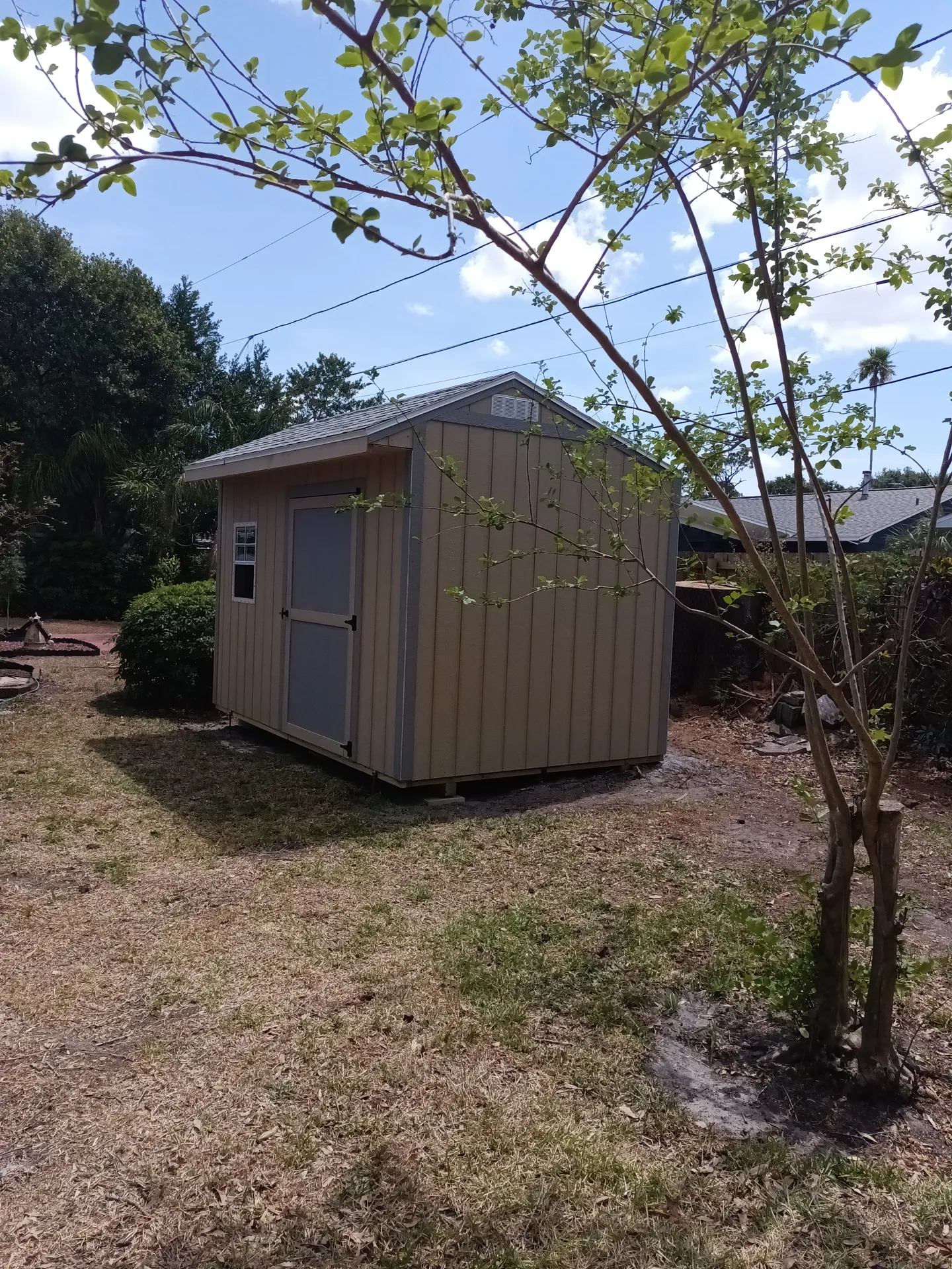 Seminole Model